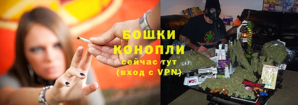 шишки Армянск