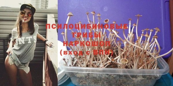 шишки Армянск