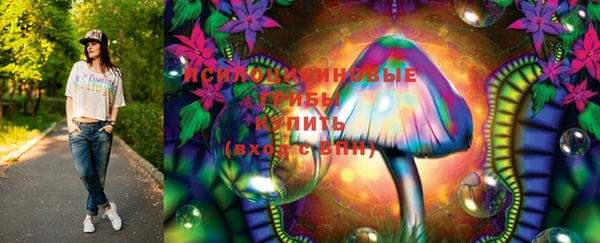 ешки Арсеньев