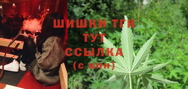 ешки Арсеньев