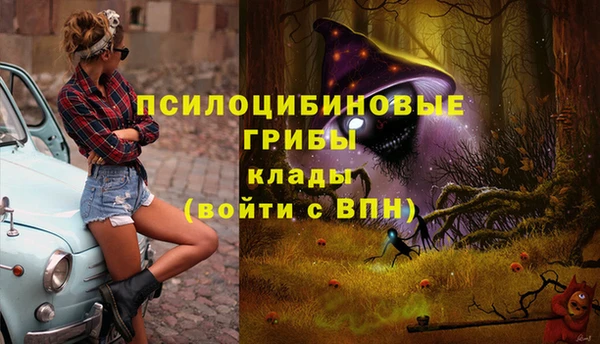 шишки Армянск